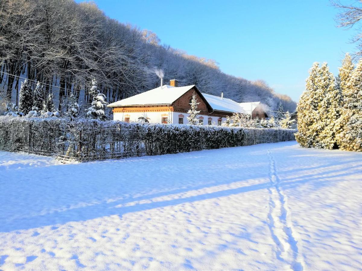 Parva Foresta Apartment Miskolc Bagian luar foto