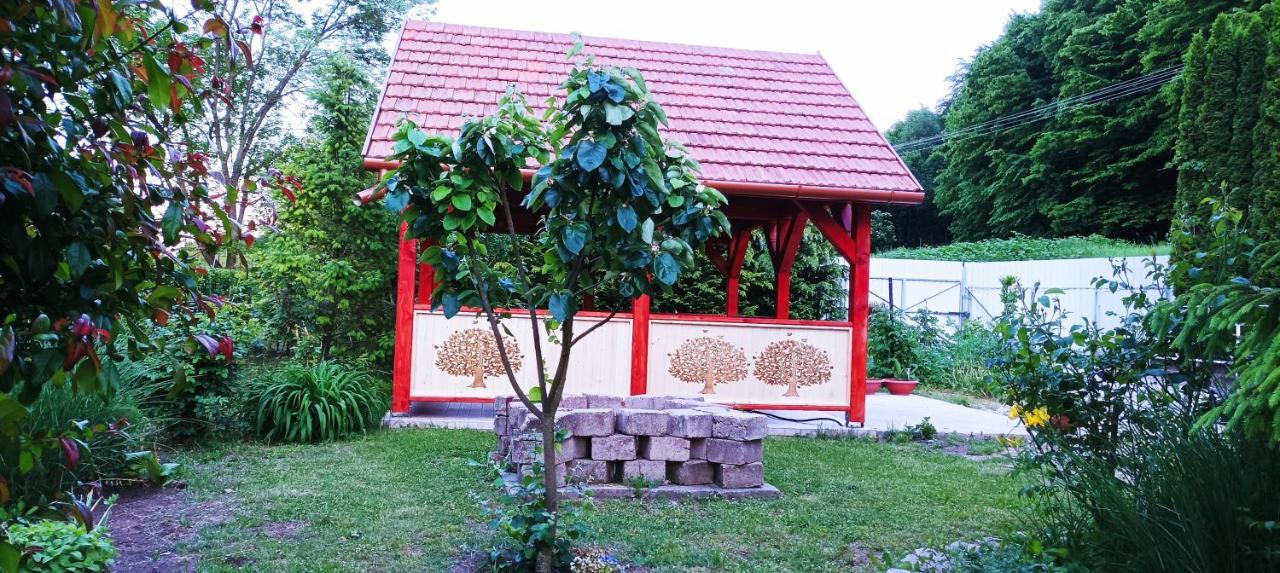 Parva Foresta Apartment Miskolc Bagian luar foto