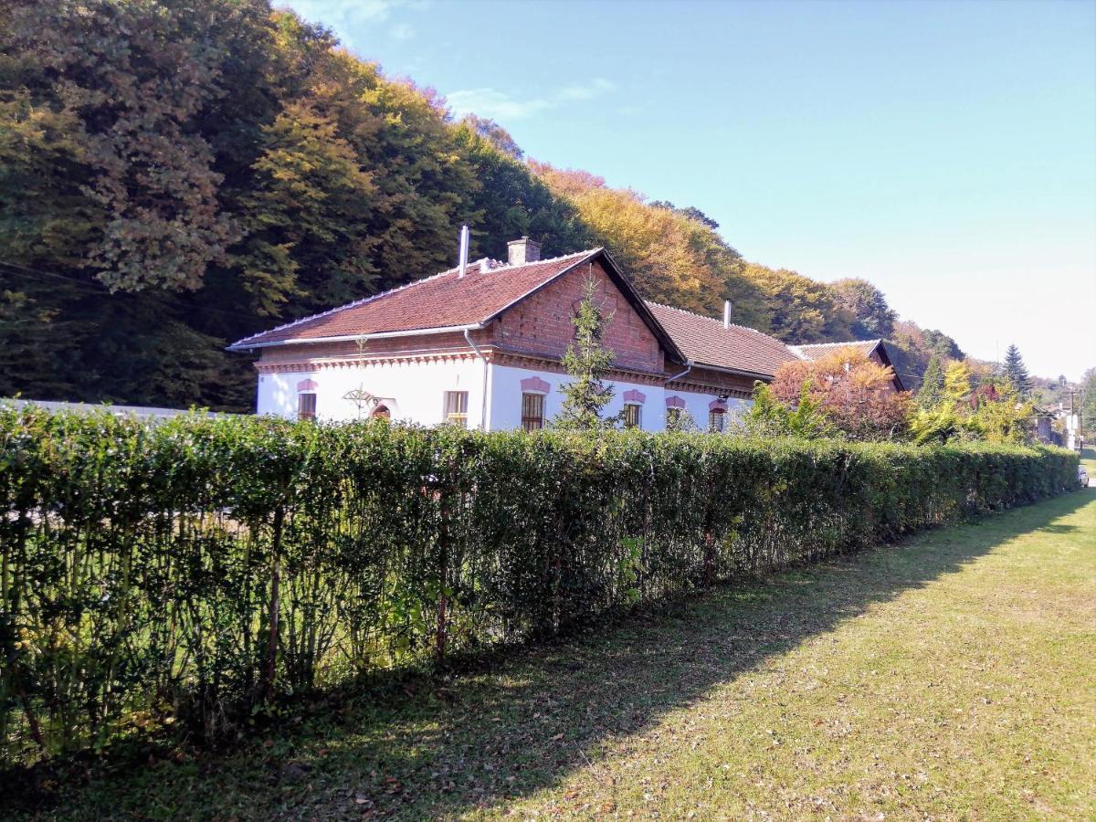 Parva Foresta Apartment Miskolc Bagian luar foto